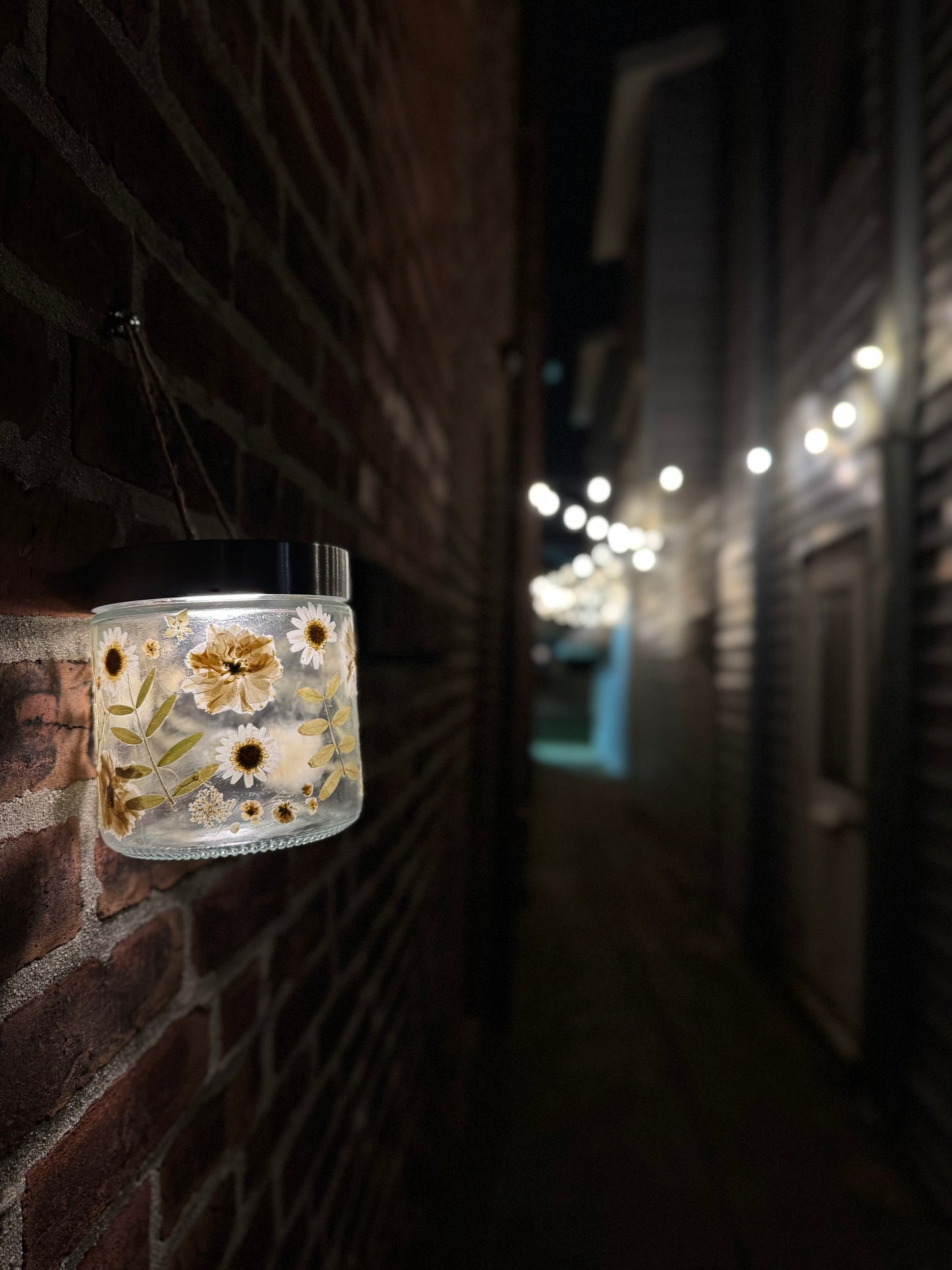MODtanicals Dried Flower Lantern